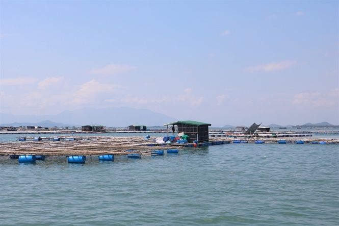 Đảm bảo an toàn nuôi lồng bè mùa mưa bão